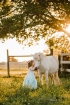 toddler in a farm in Richmond, VA facing away from the camera in a field of buttercups while kissing a white unicorn