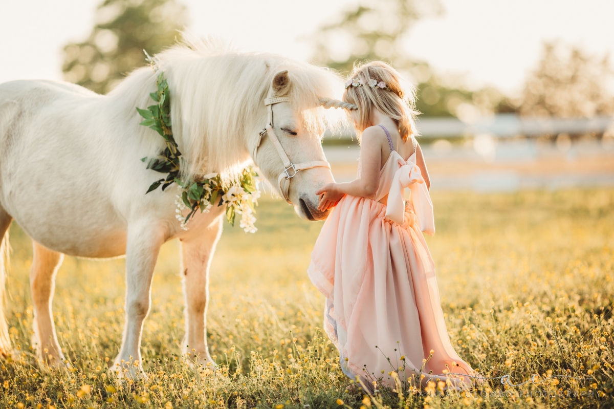 little girl in a field petting a unicorn